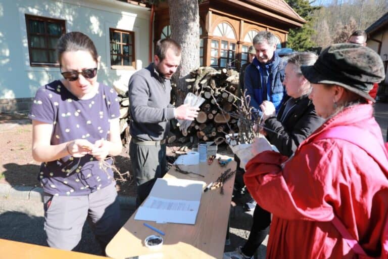 Fát olts, ne másokat! – Így menthetjük meg a régi magyar gyümölcsfajtákat