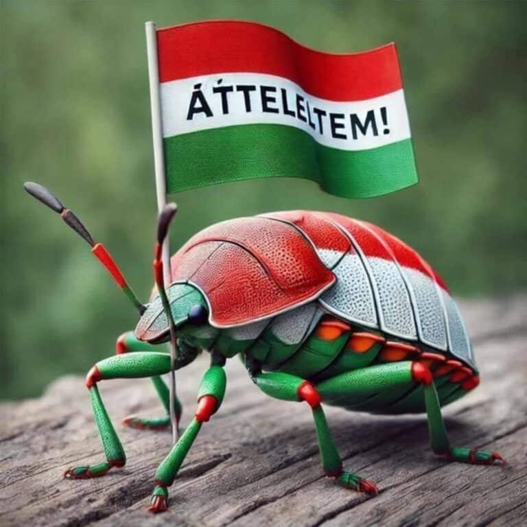 Orbán kilövési parancsot adott? – Így vadásznak a független újságírókra és a melegekre