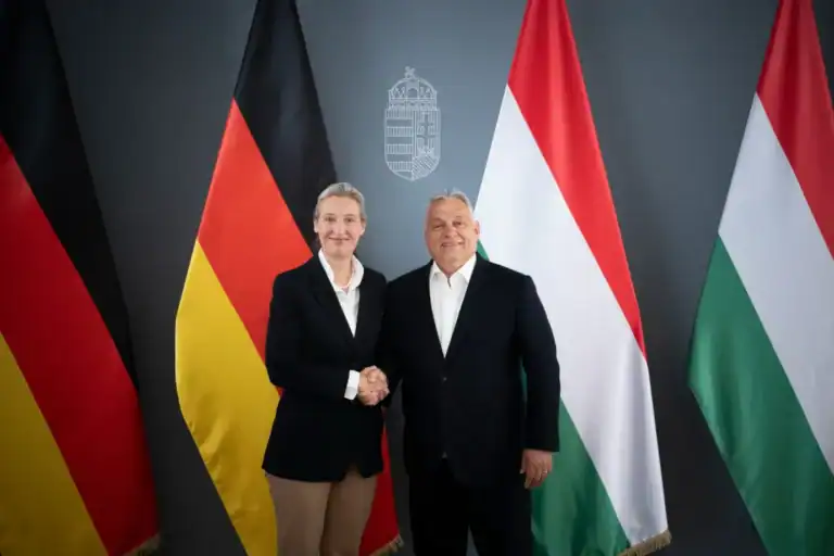 Orbán Viktor a Karmelitában fogadta az AfD társelnökét