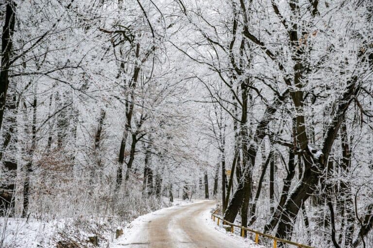 Több helyen is havazhat az év utolsó napján: szilveszteri hózáporok jöhetnek, majd gyors enyhülés érkezik