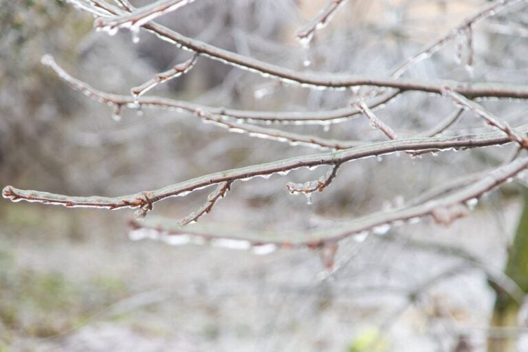 Szürke, esős napok jönnek, a télies fordulat egyelőre elmarad