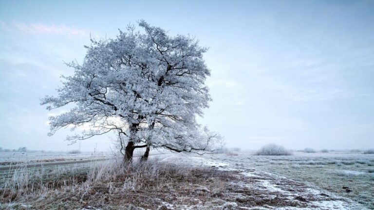 Sarkvidéki hideg Magyarországon: mínusz 24 fokot mértek Zabarban