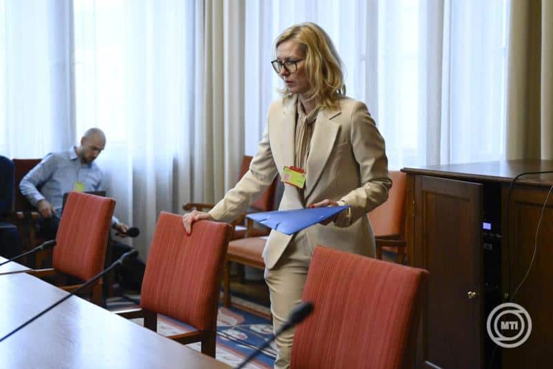 Magyar jogi szakértő nő a tárgyalóteremben, előkészül a tanúvallomásra.